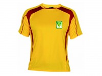 Playera TEC
